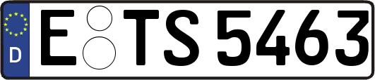 E-TS5463