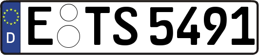 E-TS5491