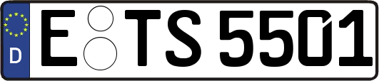 E-TS5501