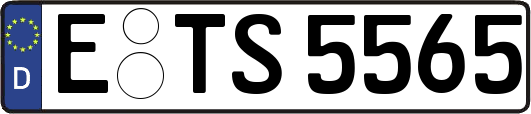 E-TS5565