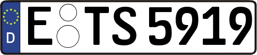 E-TS5919