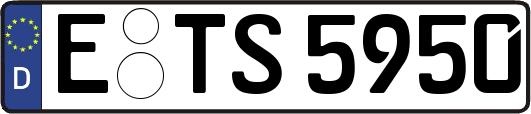 E-TS5950