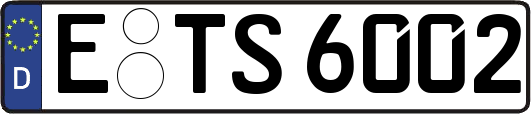 E-TS6002