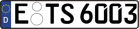 E-TS6003