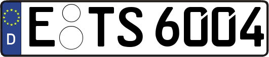 E-TS6004