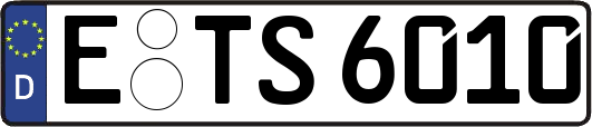 E-TS6010