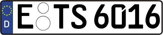 E-TS6016