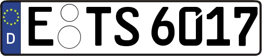 E-TS6017