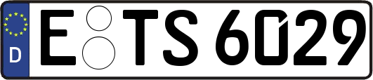 E-TS6029