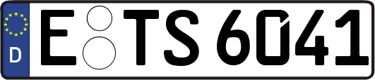 E-TS6041