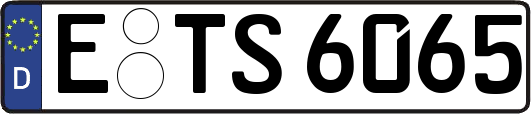 E-TS6065