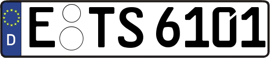 E-TS6101