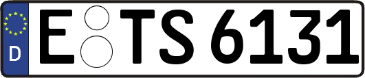 E-TS6131
