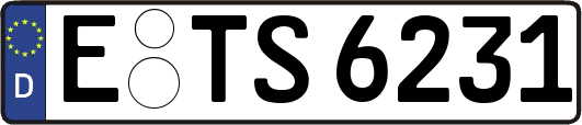 E-TS6231