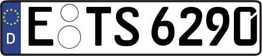 E-TS6290