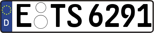 E-TS6291