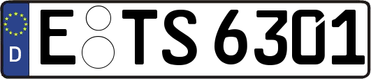 E-TS6301