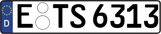 E-TS6313