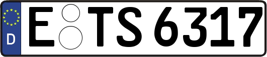 E-TS6317