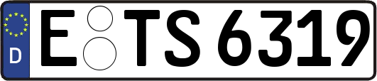 E-TS6319