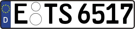E-TS6517