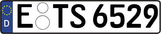 E-TS6529