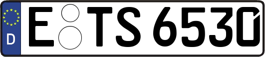 E-TS6530