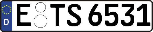 E-TS6531