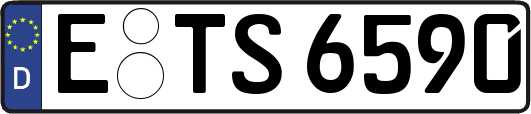 E-TS6590