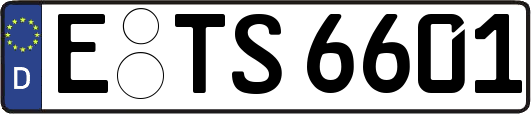 E-TS6601