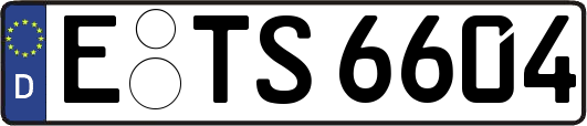 E-TS6604
