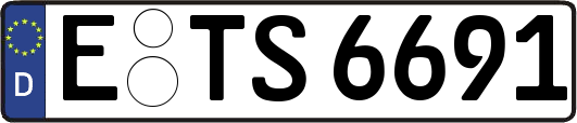 E-TS6691