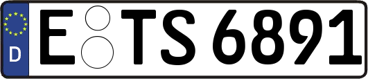 E-TS6891