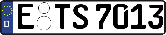 E-TS7013