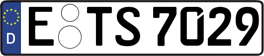 E-TS7029