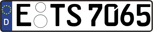 E-TS7065