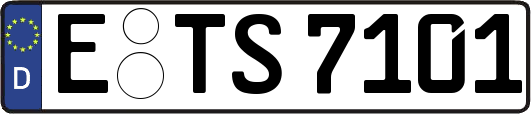 E-TS7101