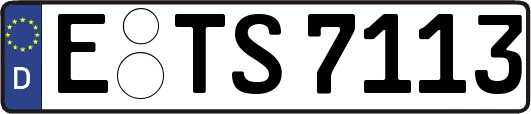 E-TS7113