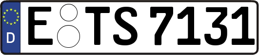 E-TS7131