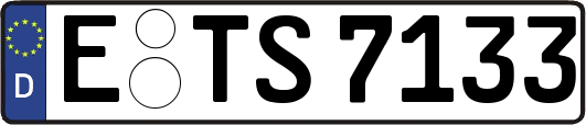 E-TS7133