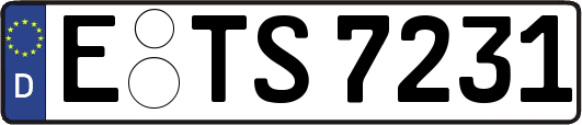 E-TS7231