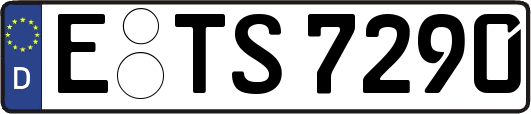 E-TS7290