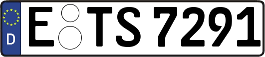E-TS7291