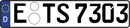 E-TS7303