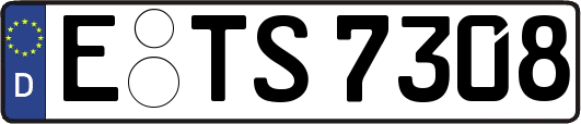 E-TS7308