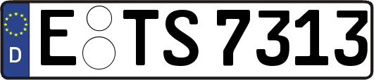 E-TS7313