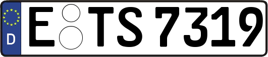 E-TS7319