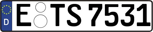 E-TS7531