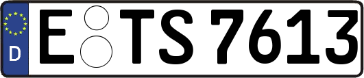 E-TS7613