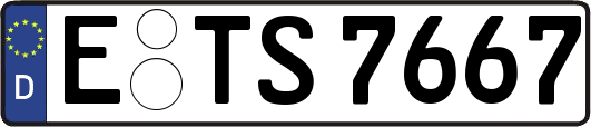 E-TS7667